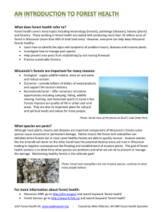 What does forest health refer to?