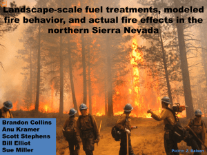 Landscape-scale fuel treatments, modeled northern Sierra Nevada