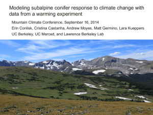 Modeling subalpine conifer response to climate change with
