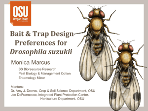 Bait &amp; Trap Design Preferences for Drosophila suzukii Monica Marcus