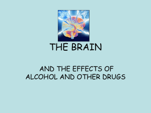 THE BRAIN AND THE EFFECTS OF ALCOHOL AND OTHER DRUGS