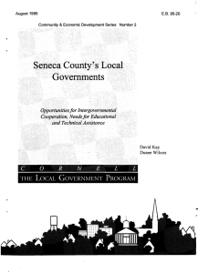 THE  LOCAL  GOVERNMENT  PROGRAM David Kay Duane Wilcox August 1995