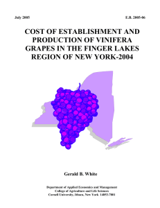 COST OF ESTABLISHMENT AND PRODUCTION OF VINIFERA GRAPES IN THE FINGER LAKES