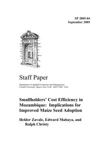 Staff Paper Smallholders’ Cost Efficiency in Mozambique:  Implications for