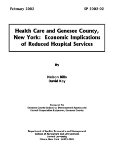 Health Care and Genesee County, New York:  Economic Implications February 2002