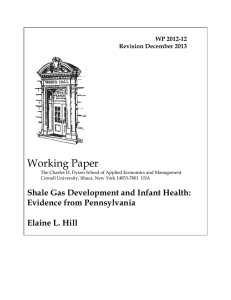Working Paper  WP 2012-12 Revision December 2013