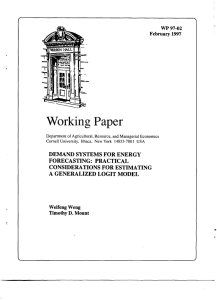 Working Paper WP97-02 February 1997