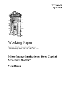Working Paper Microfinance Institutions: Does Capital Structure Matter?