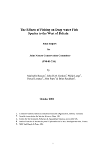 The Effects of Fishing on Deep-water Fish  Final Report