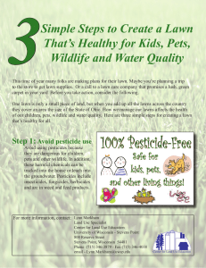 3 Simple Steps to Create a Lawn That’s Healthy for Kids, Pets,