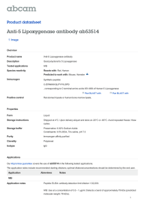 Anti-5 Lipoxygenase antibody ab53514 Product datasheet 1 Image
