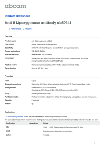 Anti-5 Lipoxygenase antibody ab59341 Product datasheet 2 References 2 Images