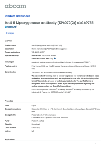 Anti-5 Lipoxygenase antibody [EP6072(2)] ab169755 Product datasheet 9 Images Overview