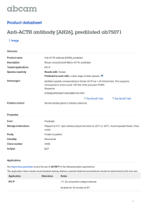 Anti-ACTH antibody [AH26], prediluted ab75071 Product datasheet 1 Image