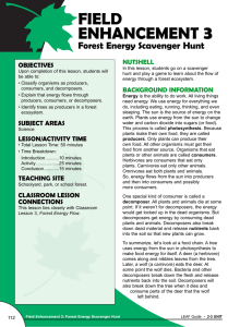 3 FIELD ENHANCEMENT Forest Energy Scavenger Hunt