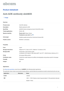 Anti-ADK antibody ab64825 Product datasheet 1 Image Overview
