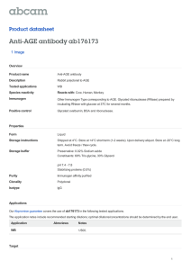 Anti-AGE antibody ab176173 Product datasheet 1 Image Overview