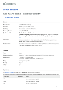 Anti-AMPK alpha 1 antibody ab3759 Product datasheet 6 References 4 Images