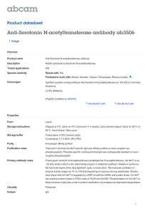 Anti-Serotonin N-acetyltransferase antibody ab3506 Product datasheet 1 Image
