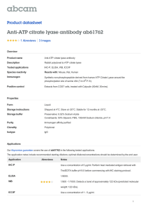Anti-ATP citrate lyase antibody ab61762 Product datasheet 1 Abreviews 3 Images