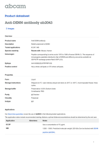 Anti-DENN antibody ab2043 Product datasheet 3 Images Overview
