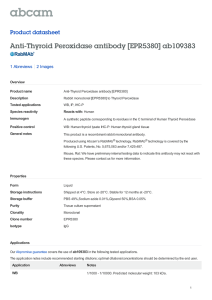 Anti-Thyroid Peroxidase antibody [EPR5380] ab109383
