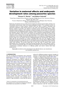 Variation in maternal effects and embryonic development rates among passerine species