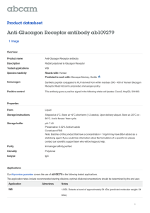 Anti-Glucagon Receptor antibody ab109279 Product datasheet 1 Image