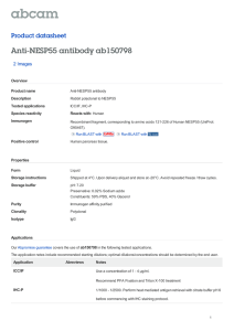 Anti-NESP55 antibody ab150798 Product datasheet 2 Images Overview