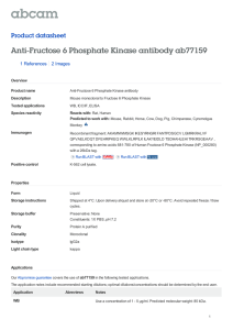 Anti-Fructose 6 Phosphate Kinase antibody ab77159 Product datasheet 1 References 2 Images