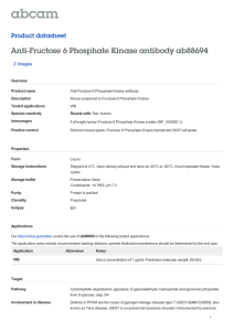 Anti-Fructose 6 Phosphate Kinase antibody ab88694 Product datasheet 2 Images Overview