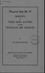 FIR REGION SHREWS DOUGLAS TREE SEED EATERS