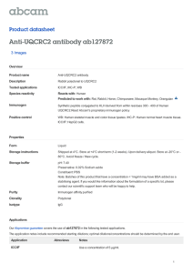 Anti-UQCRC2 antibody ab127872 Product datasheet 3 Images