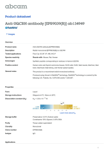 Anti-UQCRH antibody [EPR9039(B)] ab134949 Product datasheet 7 Images Overview