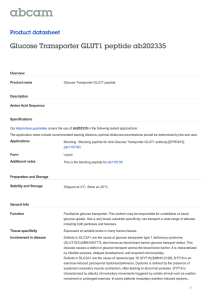 Glucose Transporter GLUT1 peptide ab202335 Product datasheet Overview Product name