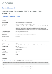 Anti-Glucose Transporter GLUT2 antibody [5D1] ab85715