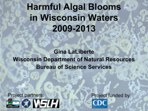 Harmful Algal Blooms in Wisconsin Waters 2009-2013