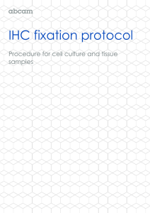 IHC fixation protocol  Procedure for cell culture and tissue samples