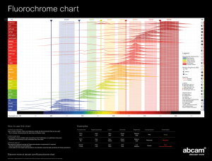 Fluorochrome chart Legend