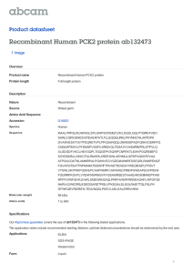 Recombinant Human PCK2 protein ab132473 Product datasheet 1 Image Overview