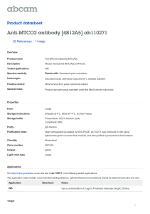 Anti-MTCO2 antibody [4B12A5] ab110271 Product datasheet 26 References 1 Image