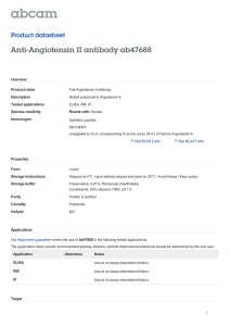 Anti-Angiotensin II antibody ab47688 Product datasheet Overview Product name