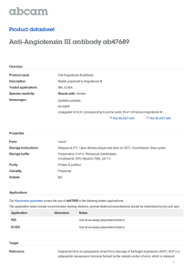 Anti-Angiotensin III antibody ab47689 Product datasheet Overview Product name