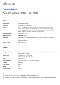 Anti-EPX antibody [AHE-1] ab190715 Product datasheet Overview Product name