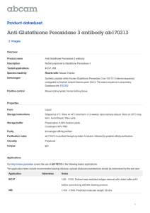 Anti-Glutathione Peroxidase 3 antibody ab170313 Product datasheet 2 Images Overview