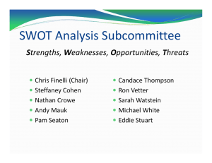 SWOT Analysis Subcommittee S