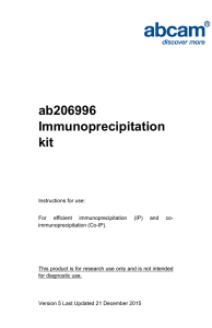 ab206996 Immunoprecipitation kit