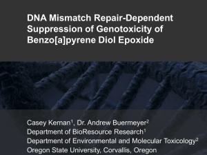 DNA Mismatch Repair-Dependent Suppression of Genotoxicity of Benzo[a]pyrene Diol Epoxide