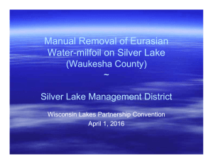 Manual Removal of Eurasian Water-milfoil on Silver Lake