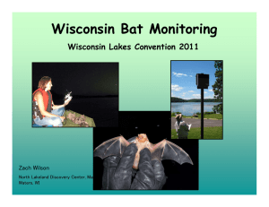 Wisconsin Bat Monitoring Wisconsin Lakes Convention 2011 Zach Wilson